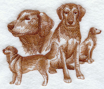 Golden Retriever Sketch