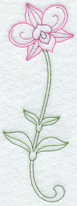 Cooktown Orchid (Vintage)