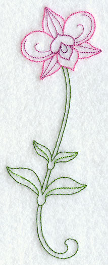 Cooktown Orchid (Vintage)