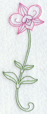 Cooktown Orchid (Vintage)