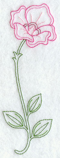 Sturt's Desert Rose (Vintage)