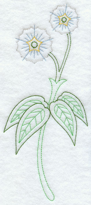 Eucalyptus Gum (Vintage)