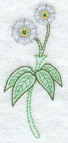 Eucalyptus Gum (Vintage)