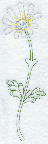 Pimelea Daisy Bush (Vintage)