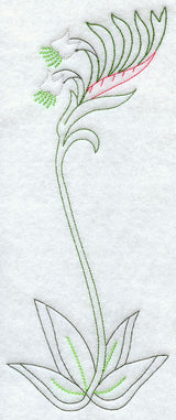 Kangaroo Paw (Vintage)