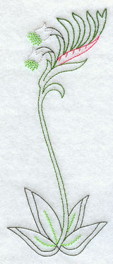 Kangaroo Paw (Vintage)