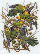 Carolina Parakeet