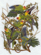 Carolina Parakeet