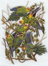 Carolina Parakeet
