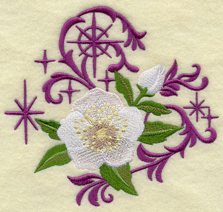 Christmas Lenten Rose with Echoes