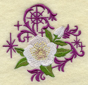 Christmas Lenten Rose with Echoes