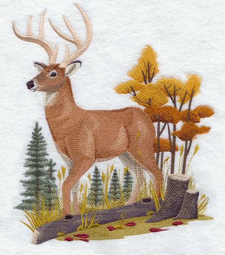 Deer in Autumn