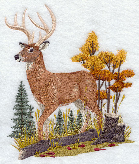 Deer in Autumn