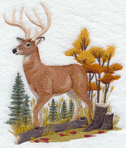 Deer in Autumn