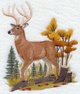 Deer in Autumn