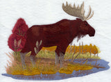 Moose in Autumn