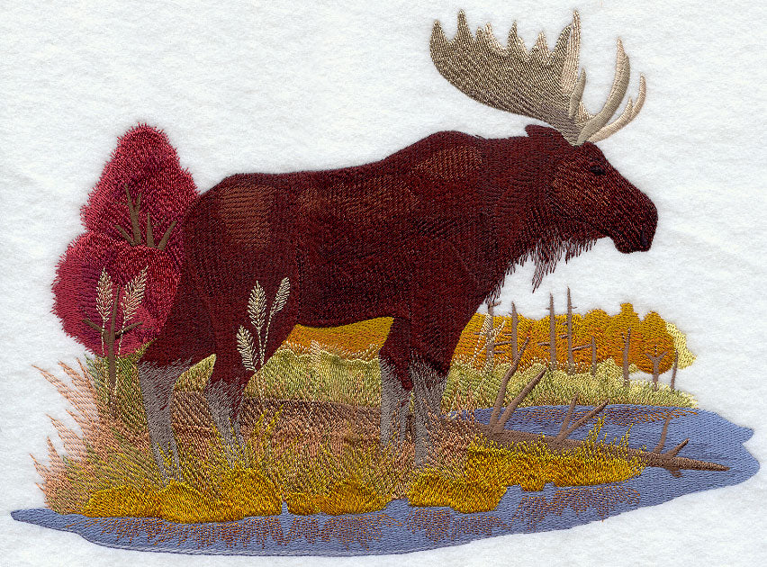 Moose in Autumn