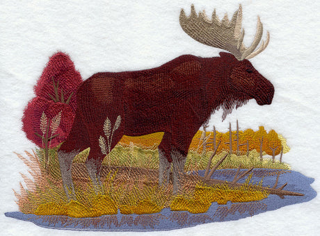 Moose in Autumn