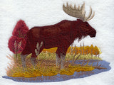 Moose in Autumn