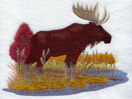 Moose in Autumn