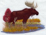 Moose in Autumn
