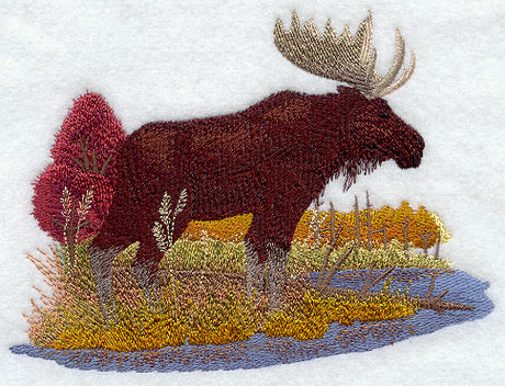 Moose in Autumn
