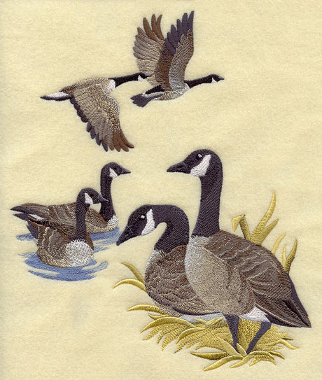 Canada Goose Collage