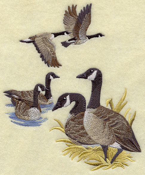 Canada Goose Collage