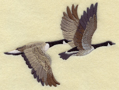 Canada Goose Pair in Flight