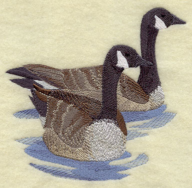 Canada Goose Pair on the Lake