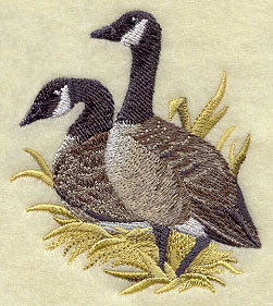 Canada Goose Pair on the Shore