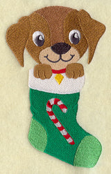Puppy in Stocking