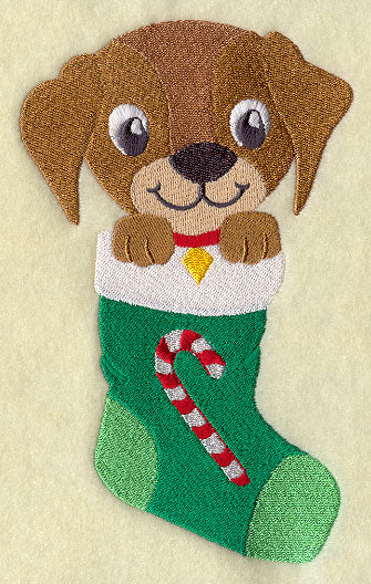 Puppy in Stocking