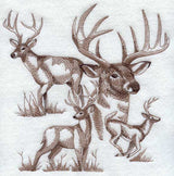 Deer Sketch