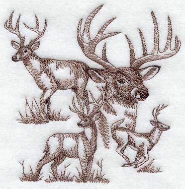 Deer Sketch