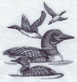 Loon Sketch