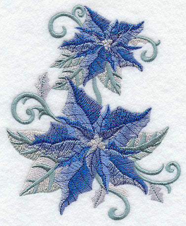 Blue Christmas Poinsettias