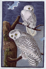 Snowy Owl