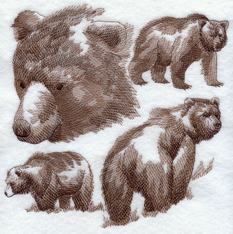 Bear Sketch