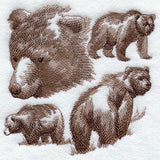Bear Sketch