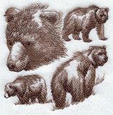 Bear Sketch