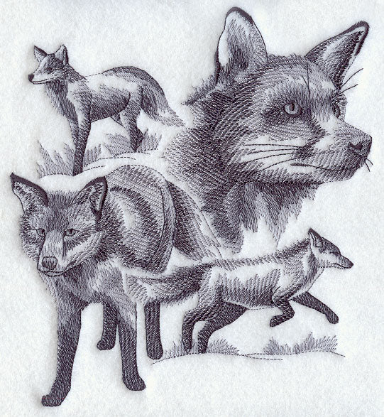 Fox Sketch