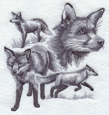 Fox Sketch