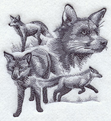 Fox Sketch
