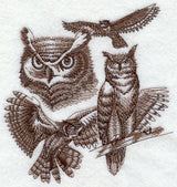 Great Horned Owl Sketch