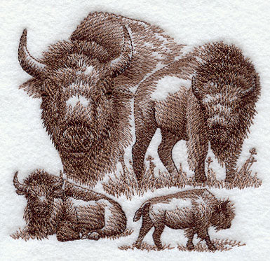 Buffalo Sketch