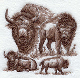 Buffalo Sketch