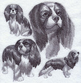 Cavalier King Charles Spaniel Sketch