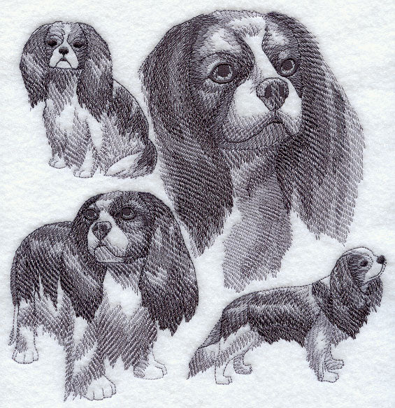 Cavalier King Charles Spaniel Sketch