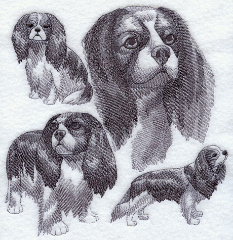 Cavalier King Charles Spaniel Sketch